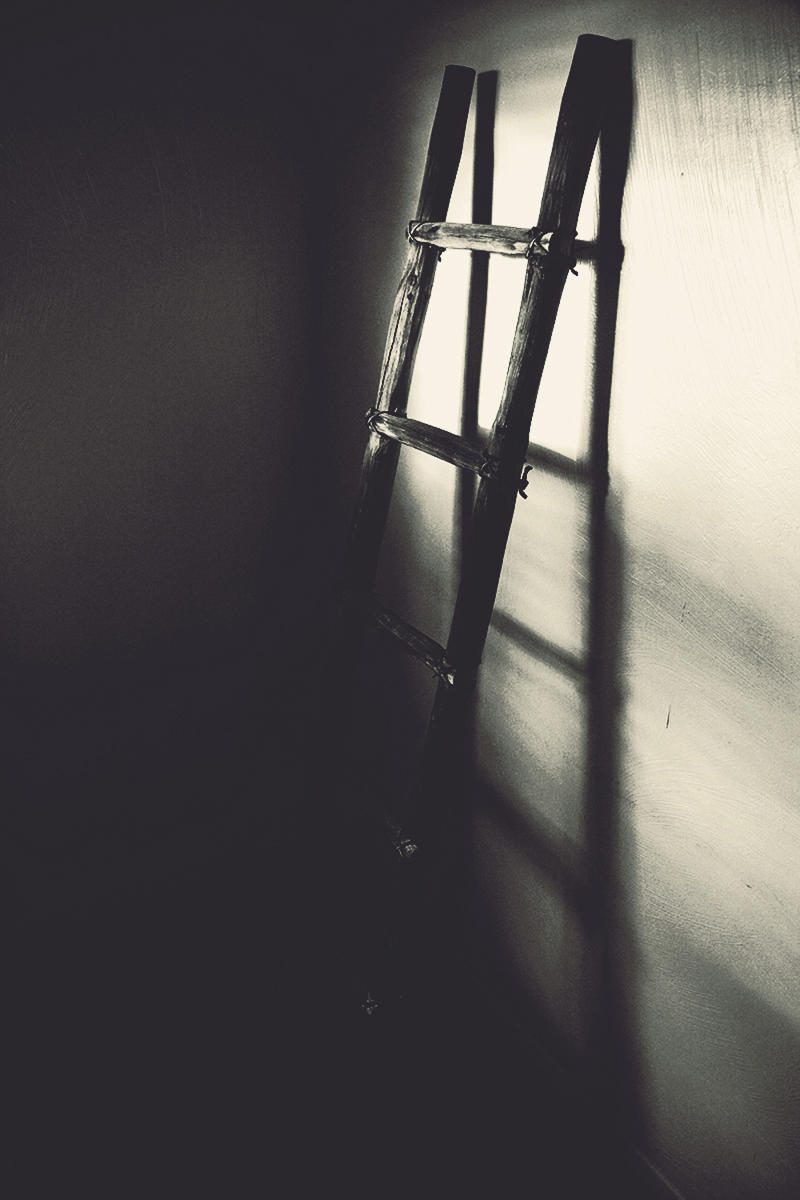'... I will bring you a ladder' - 2012 / 2014